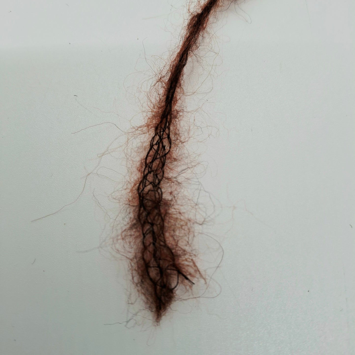 100g Lana Merino filato italiano colore Marrone N.1024