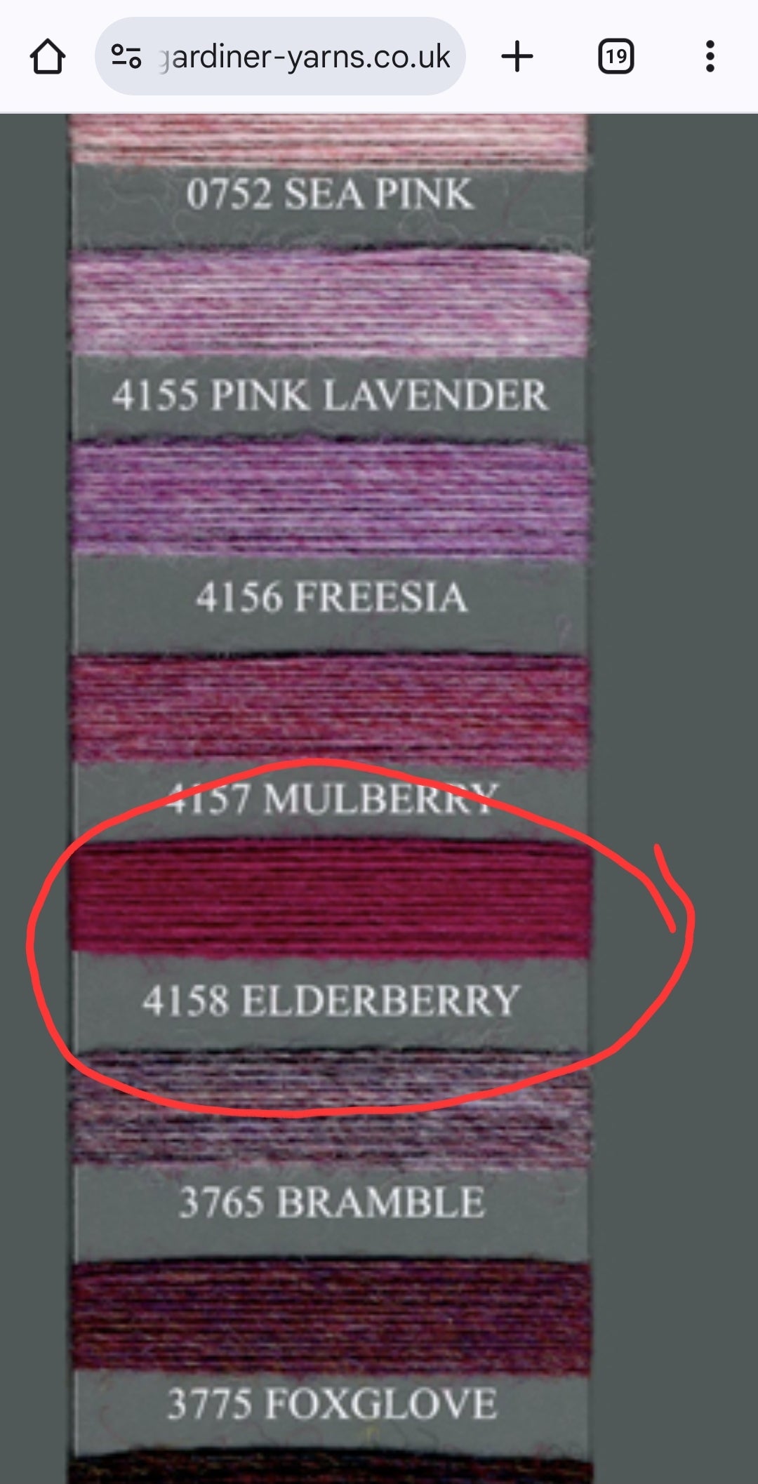 Lana Shetland 100% filato originale Gardiner colore Fucsia N.646