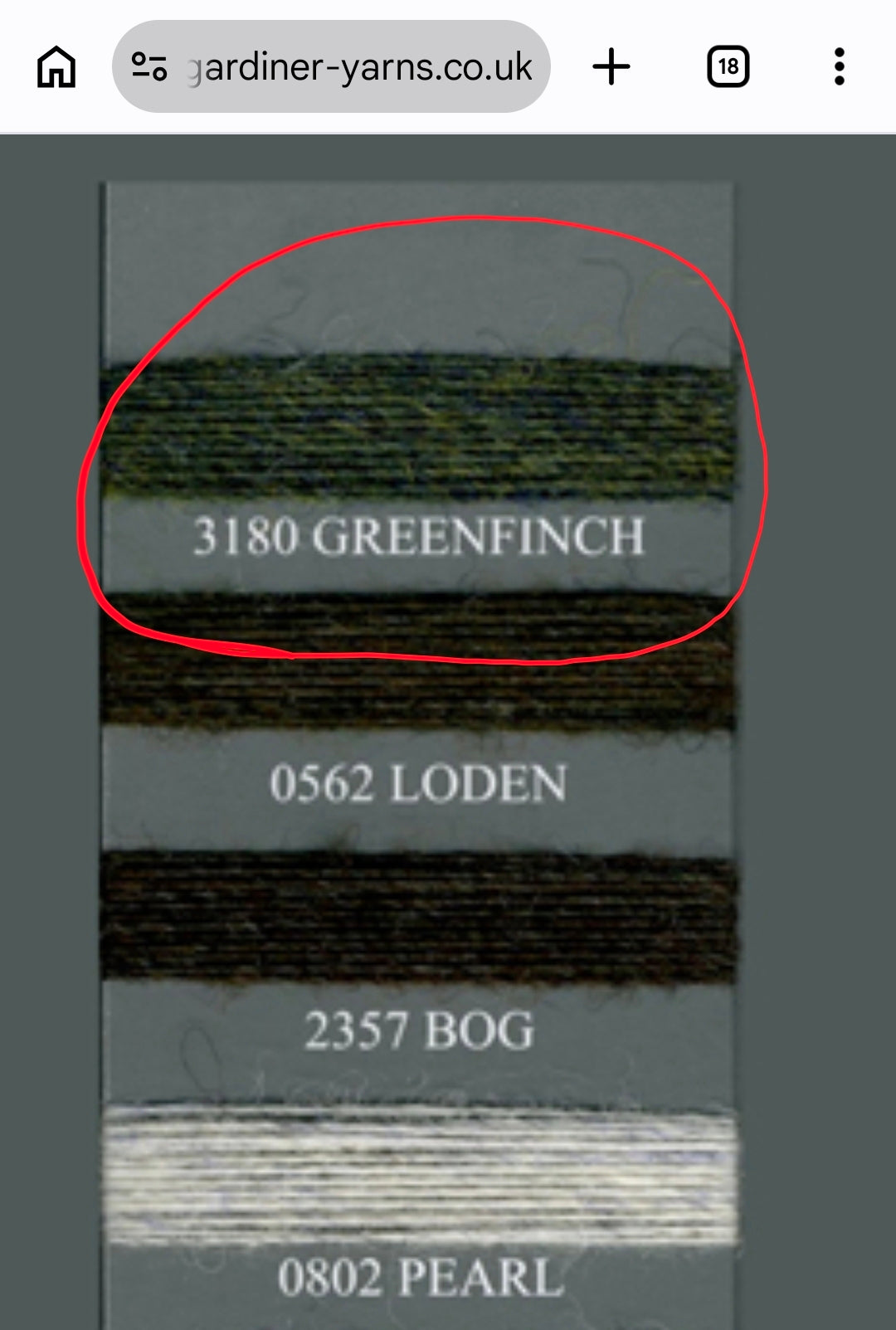560g Lana Shetland 100% filato colore Verde Oliva Mélange  N.1386