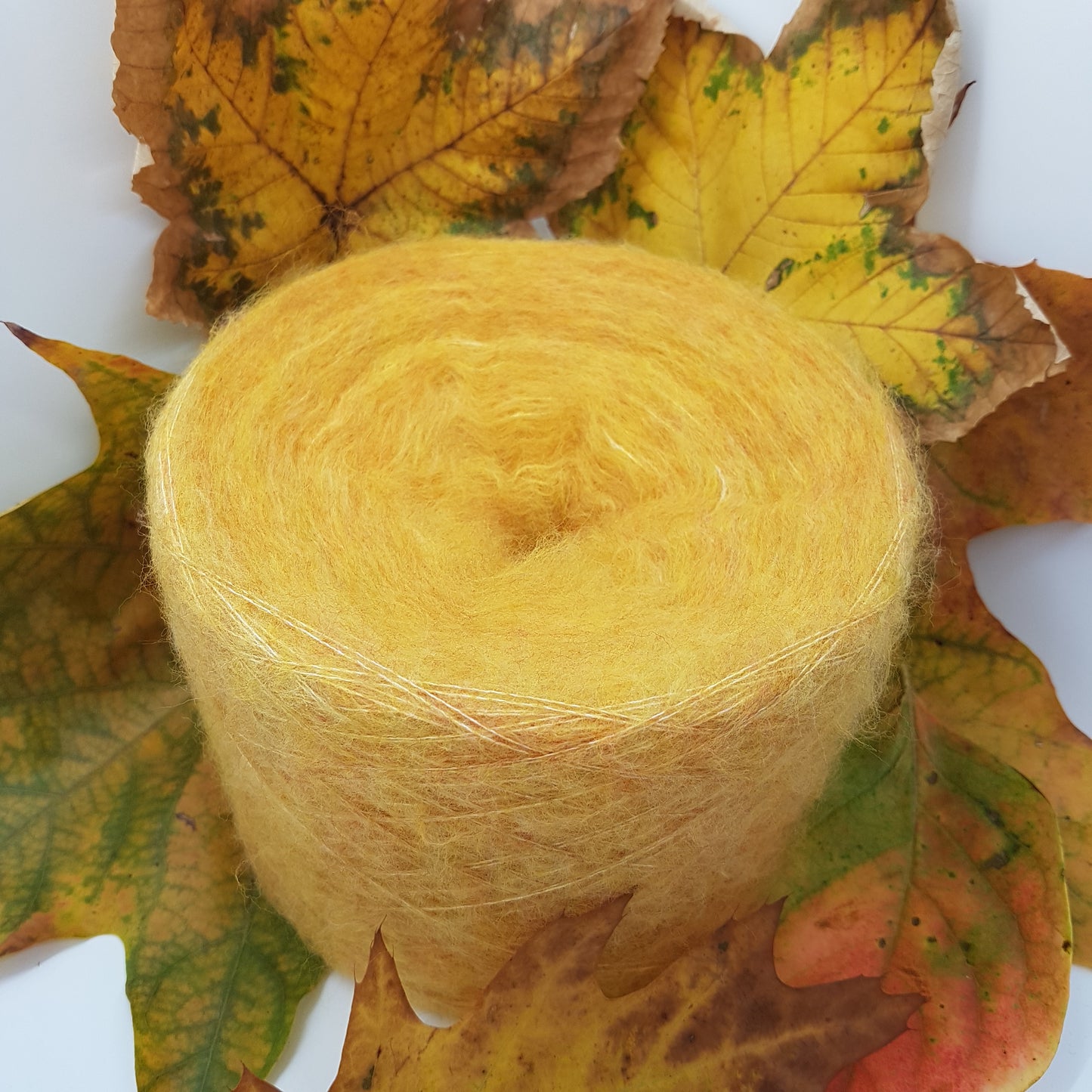 100g-200g laine mélangée avec un fil italien élastan pour l'automne occhi giallo occhia N.153