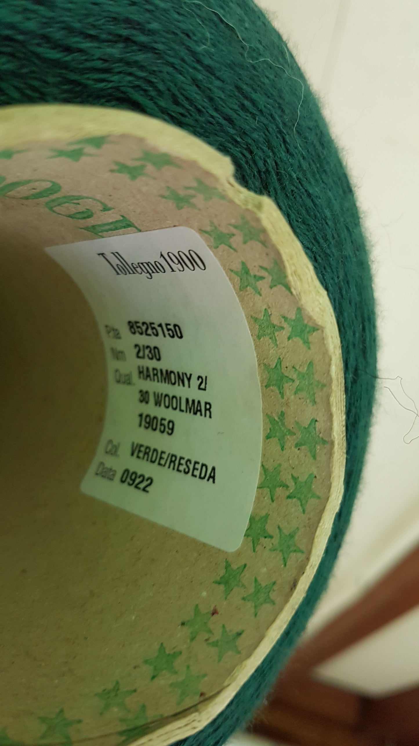 Lana Merino extrafina Tollegno Harmony hilo italiano color Verde N.532