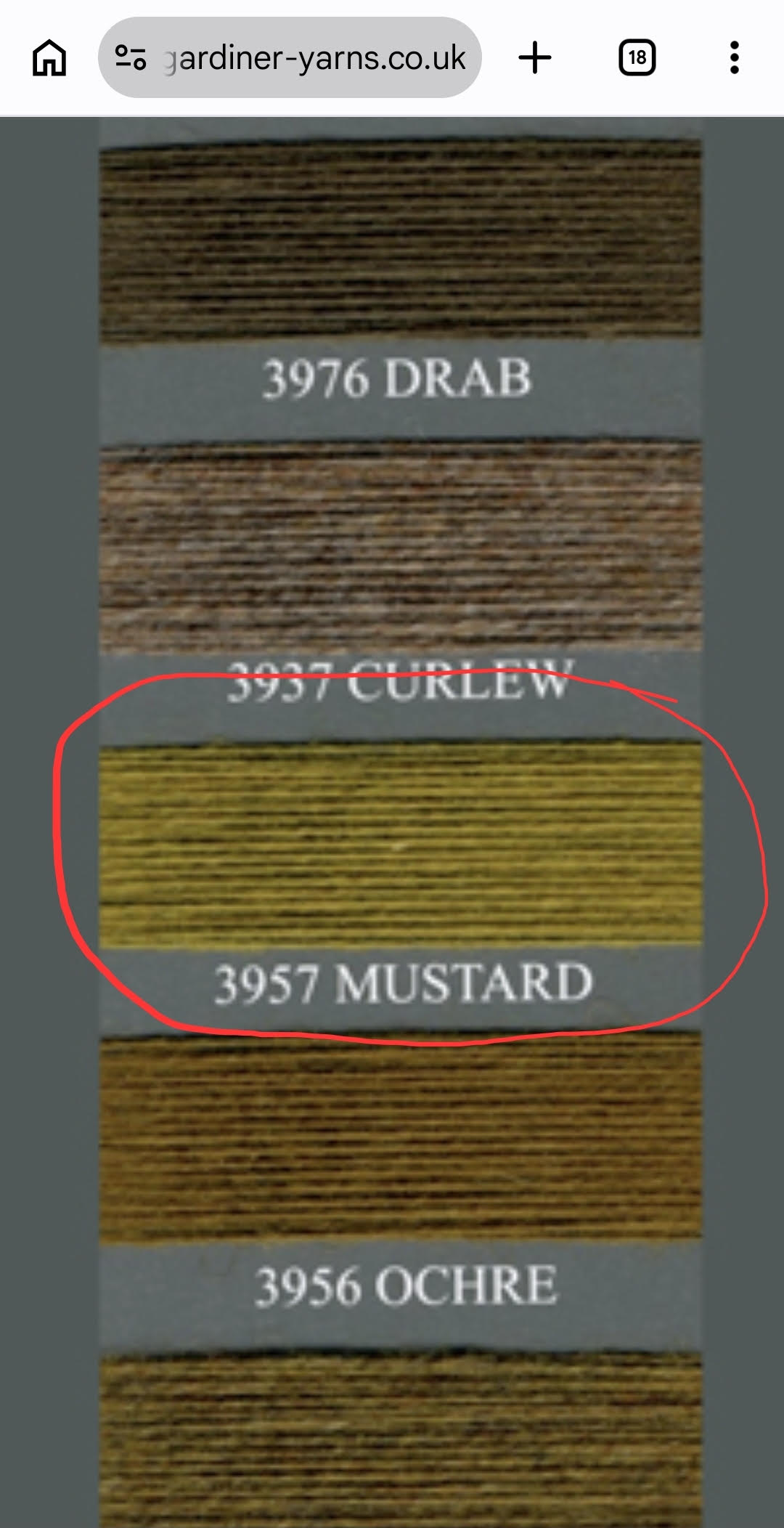 Laine d'agneau 100% Fil couleur moutarde N. 1379